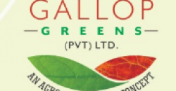 5 Kanal Plot | GALLOP GREENS FARM HOUSES