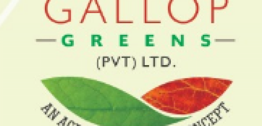 5 Kanal Plot | GALLOP GREENS FARM HOUSES