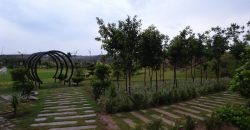 Habbitone Theme Farm Furnished