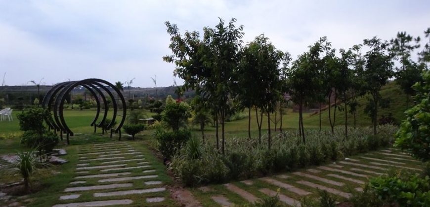 Habbitone Theme Farm Furnished