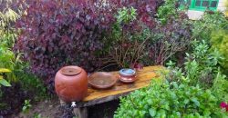 Habbitone Theme Farm Furnished