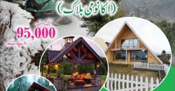 5 Marla Plot | New Murree Town Ship | Near Patariata , Murree.