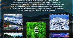 5 Marla Plot | New Murree Town Ship | Near Patariata , Murree.