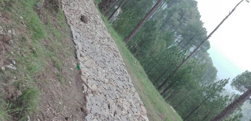 5 Marla Plot | New Murree Town Ship | Near Patariata , Murree.