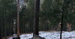 5 Marla Plot | New Murree Town Ship | Near Patariata , Murree.