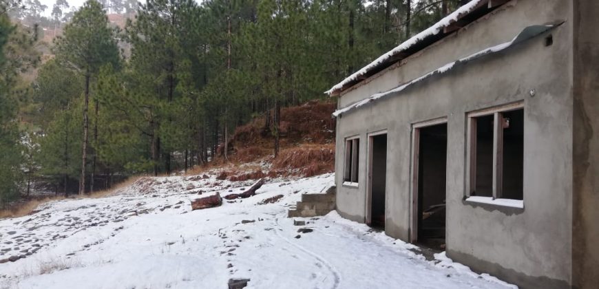 5 Marla Plot | New Murree Town Ship | Near Patariata , Murree.